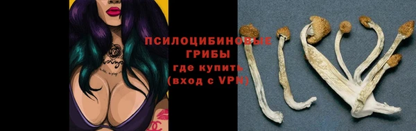 таблы Аркадак