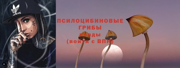 PSILOCYBIN Армянск