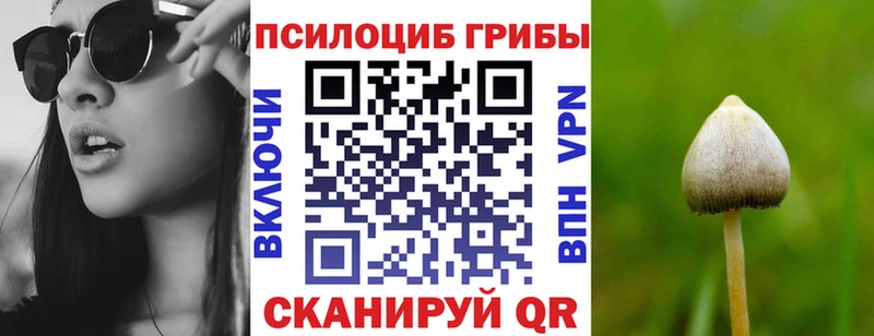 KRAKEN ТОР  Советск  Галлюциногенные грибы GOLDEN TEACHER 